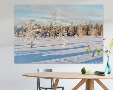 Schnee auf Bäumen Lappland von Rene du Chatenier
