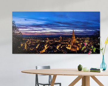 Panorama de la ligne d'horizon de Freiburg im Breisgau en format XXL sur adventure-photos