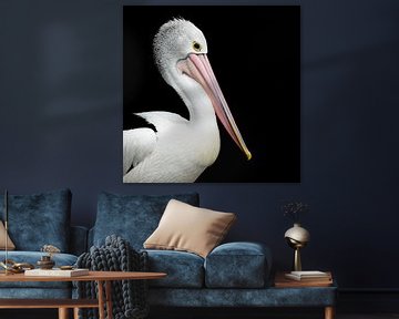 Porträt eines Pelikans auf schwarzem Hintergrund von Natuurels