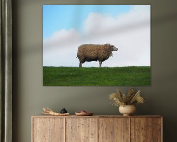 Einsam im Wind stehende Schafe auf dem Seedeich in der Nähe des Wattenmeeres von Helene Ketzer