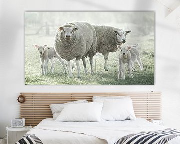 Lammetjes en schapen langs de dijk van Willy Sengers