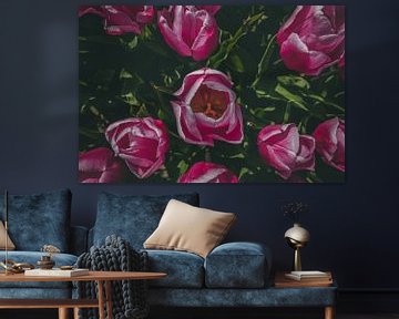 Prachtig mooie roze tulpen van Kelly Sabrina