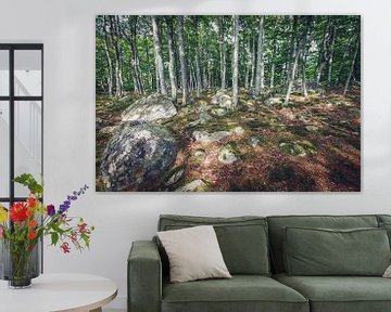 Waldspaziergang in Schweden von Skyze Photography by André Stein