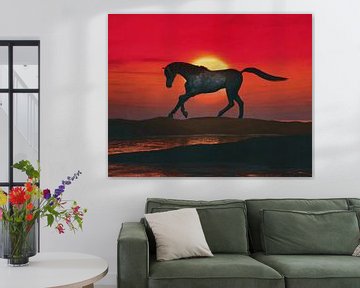 Arabian horse on the beach at sunset