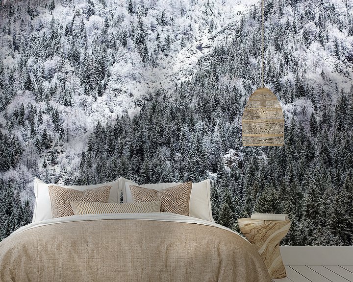 Beispiel fototapete: Winterwald in den Bergen von Frank Herrmann