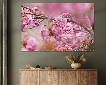 mooie roze lente bloesem van Janny Beimers
