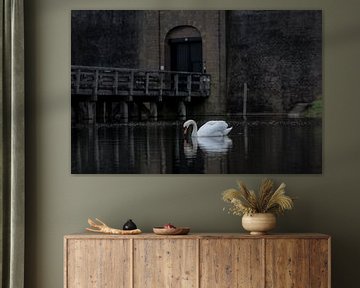 Swan in the moat of Loevestein Castle. by Henri Ton