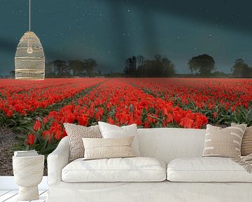 Rode tulpen in de nacht van Elianne van Turennout