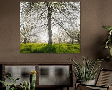 Vallée des fruits sur Loris Photography