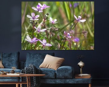 Flowers, flower field pink purple by Bianca ter Riet
