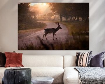 Deer in the morning light by Marlou Beimers