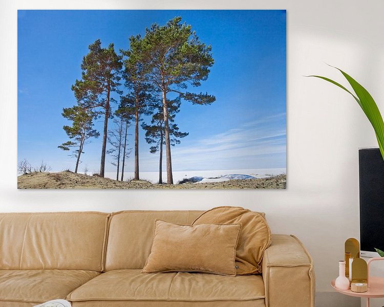 Aperçu de la chambre