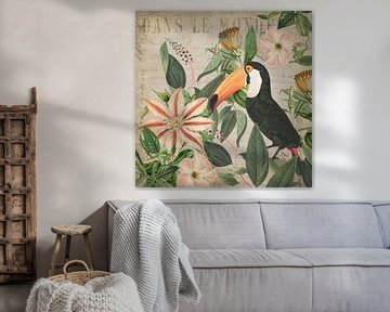 Charmant Toucan sur Andrea Haase