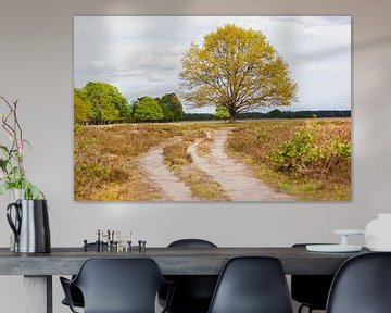 Tree in the Maashorst area by Special Moments MvL