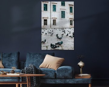 Pigeons in the empty streets of Dubrovnik. by Milene van Arendonk