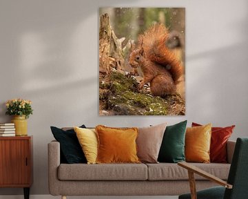 Squirrel by Stuart De vries