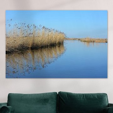 Reflexion des Schilfs im Kanal an einem windstillen Tag von My Footprints