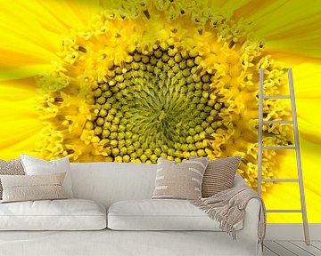 Sonnenblume von Paul Arentsen