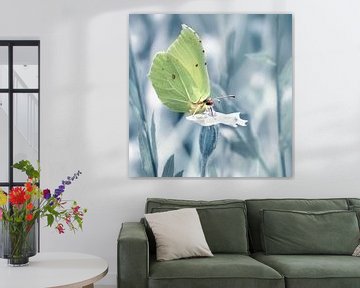 Vlinder citroenvlinder van Violetta Honkisz