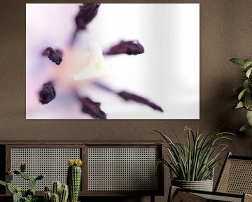 Macro inside by Augenblicke im Bild