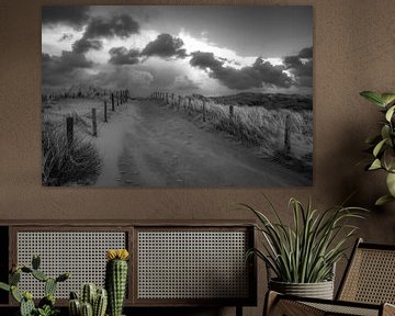 Beach entrance in black and white by Dirk van Egmond
