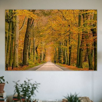 The beautiful forest of Delden (2)