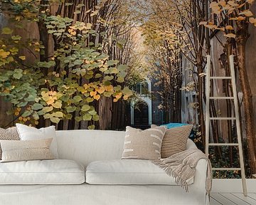 Colours of autumn by Dayenne van Peperstraten