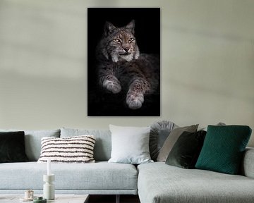 Un magnifique lynx félin imposant est couché de face, à moitié tourné, les pattes étendues dans l'ob sur Michael Semenov