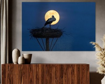 Stork Nest with Supermoon by JPWFoto