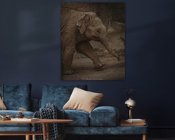 Yaro by Pascal Brinkmann