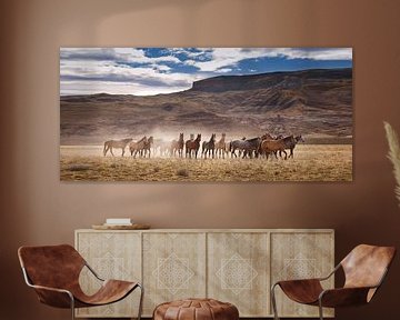 Wild horses in Patagonia by Gerard Burgstede