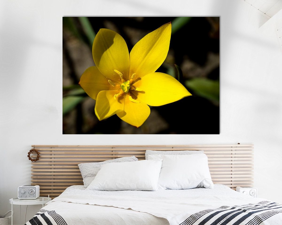 Aperçu de la chambre