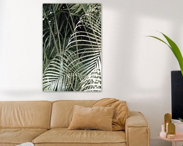 Curaçao - Palmbladeren van Rowenda Hulsebos