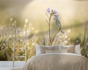 Veined white during the sunrise by Erik Veltink fotografie