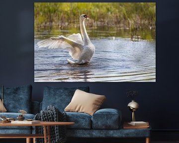 Mighty Swan by Ingmar de Vegte