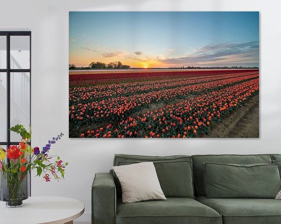 Raumvorschau