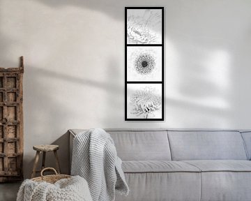 Triptych light flowers black and white vertical by Albert Mendelewski