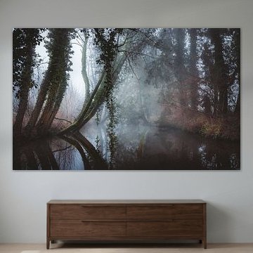 Magische Bäume im Morgennebel