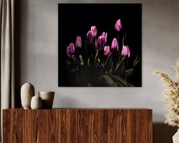 Paarse tulpen