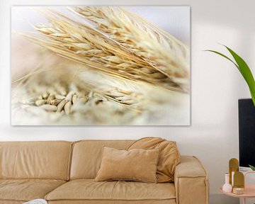 Wheat by Annemarie Veldman