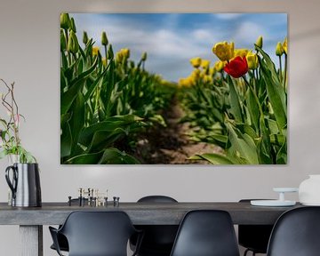 Tulpen op Texel - Be different van Texel360Fotografie Richard Heerschap