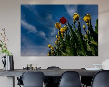 Tulipes sur Texel - Soyez différent sur Texel360Fotografie Richard Heerschap