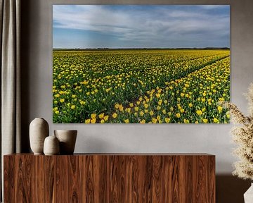 Tulpen op Texel - Code geel