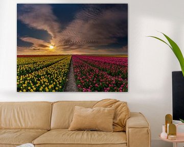 Les tulipes sur Texel - Grand mélange sur Texel360Fotografie Richard Heerschap