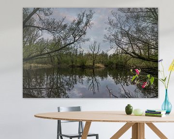 Weerspiegelende ven in het avondlicht van Patrick Verhoef