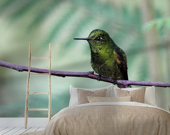 Aperçu de la chambre