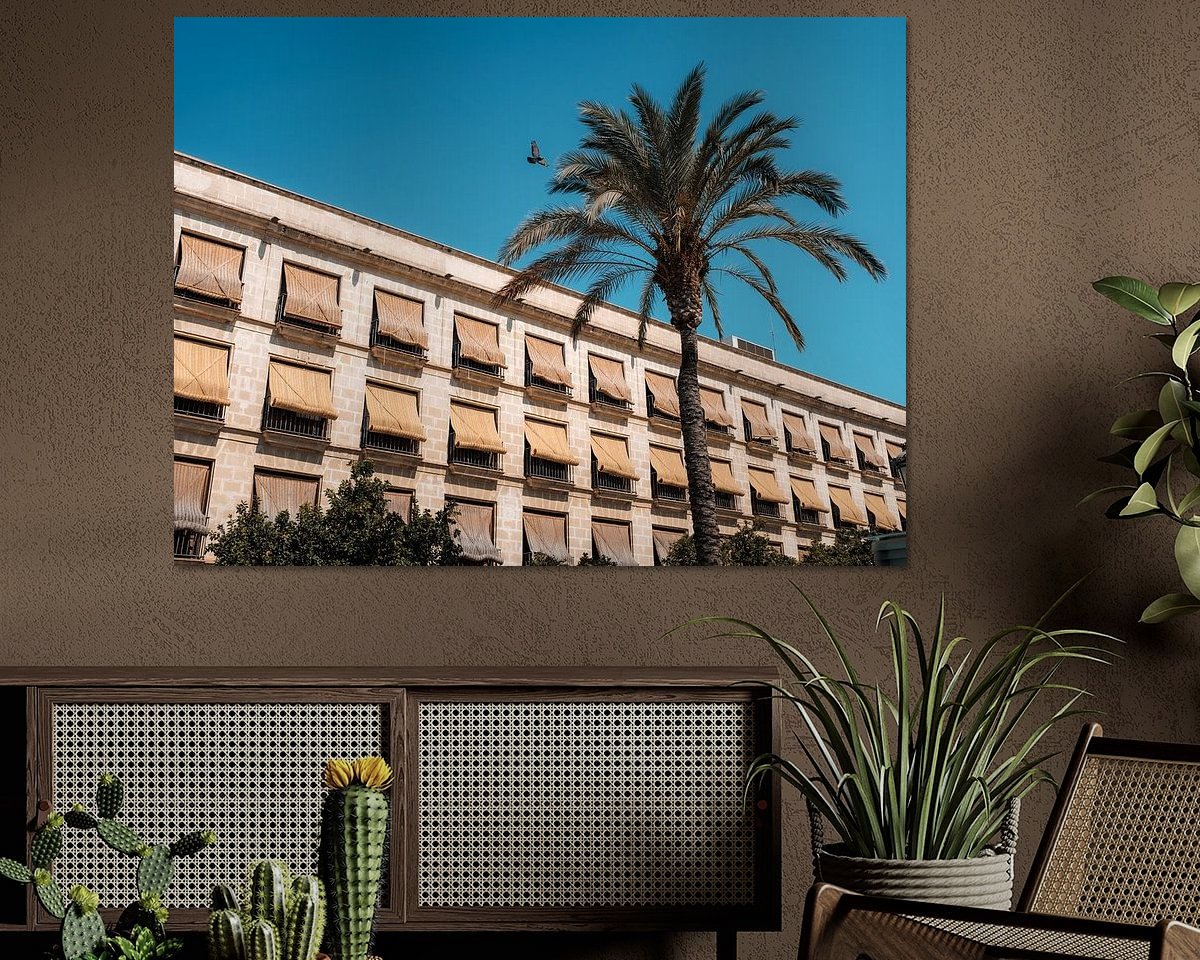 Aperçu de la chambre