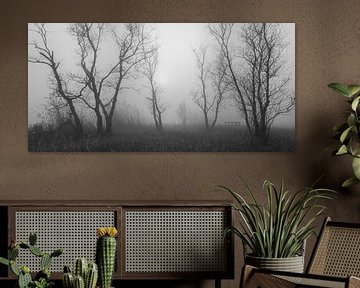 Bomen in mist 4 van Thijs Friederich