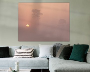 Sonnenaufgang mit Nebel am Hatertse-Vennen von Femke Straten