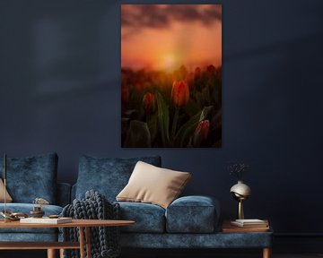 Tulpen bei Sonnenaufgang in Lisse von Marijke Groos